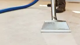 Carpet cleaning wand head gliding over a light carpet during hot-water extraction, Rockford, IL.
