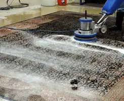 Professional rug cleaning with a rotary floor machine and shampoo foam, deep-cleaning an area rug, in Rockford, IL.