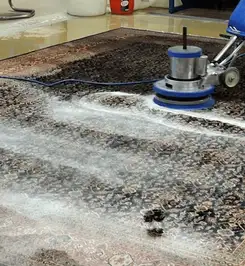 Professional rug cleaning with a rotary floor machine and shampoo foam, deep-cleaning an area rug Rockford, IL.